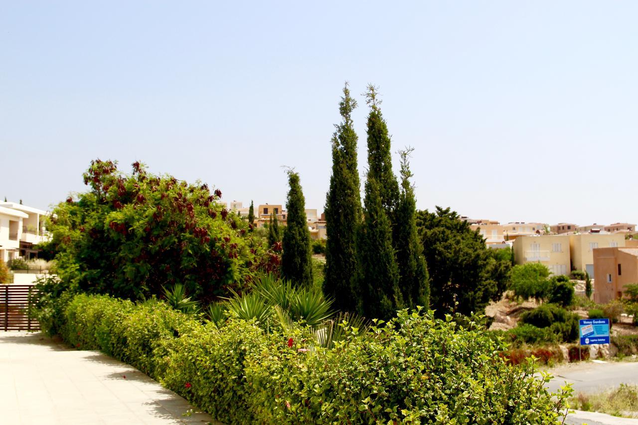 Chloraka Park D101 Leilighet Paphos Eksteriør bilde