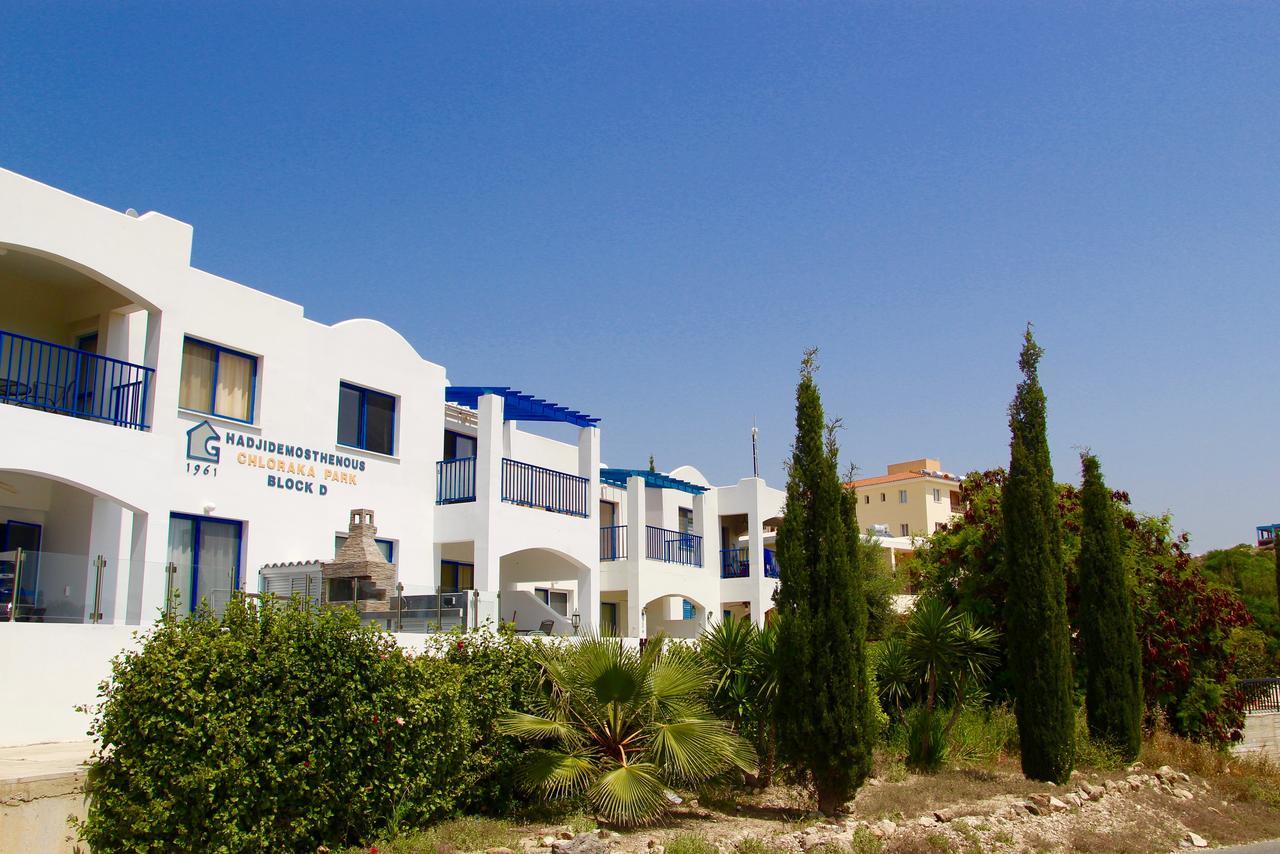 Chloraka Park D101 Leilighet Paphos Eksteriør bilde